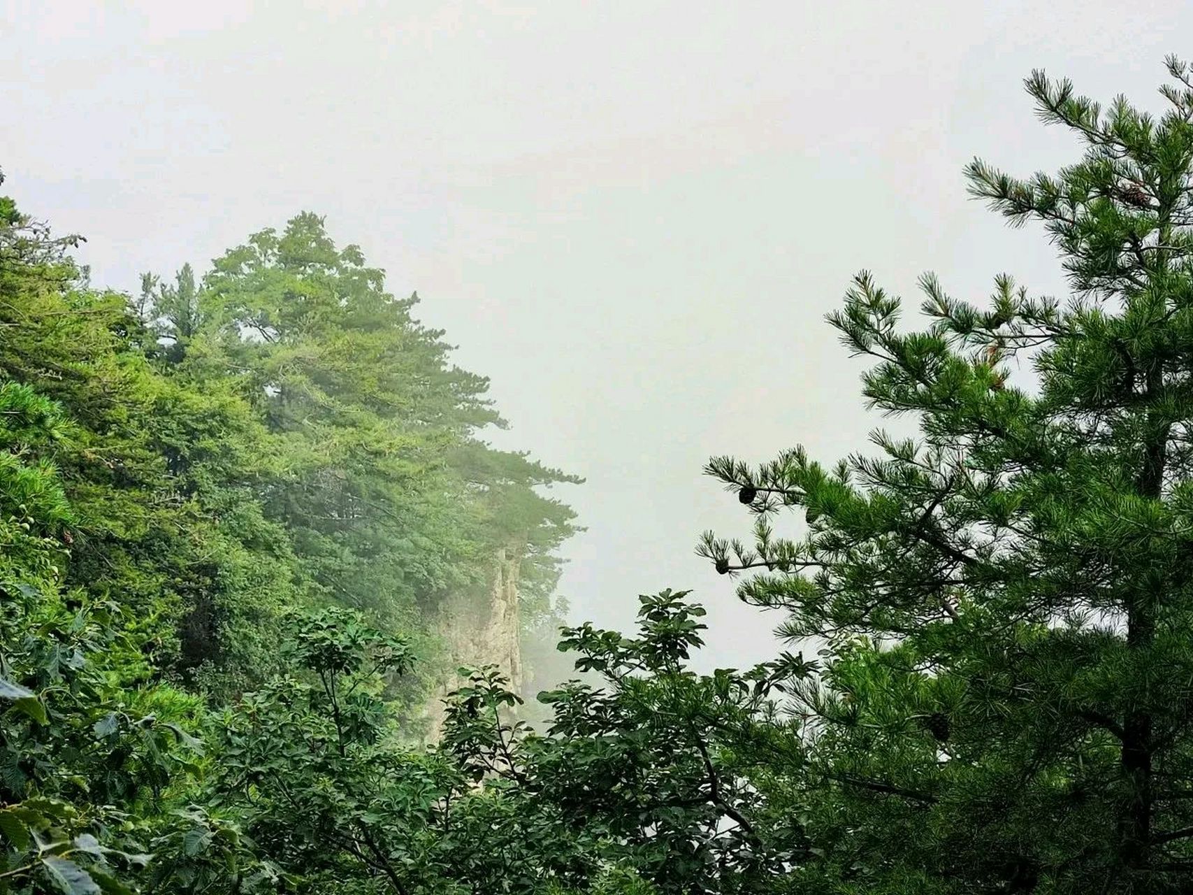 洛阳木札岭旅游区一轮免门票福利 2023年5月19日是第13个"中国旅游日"