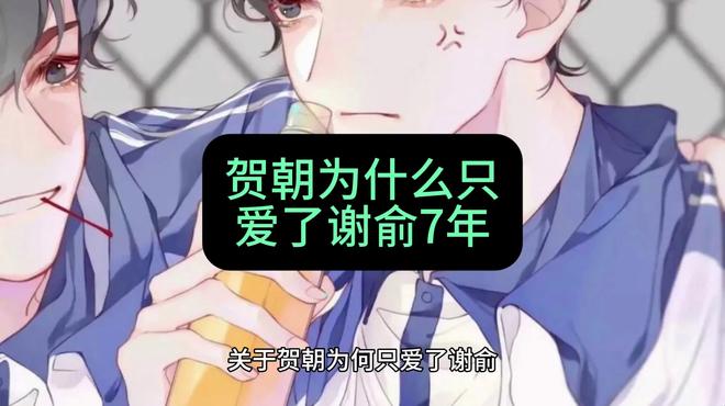 贺朝为什么只爱了谢俞7年