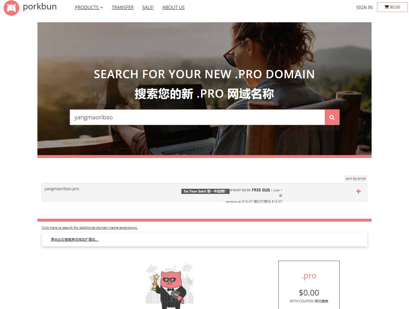 Porkbun 免费注册 .PRO域名，有效期一年插图羊毛日报