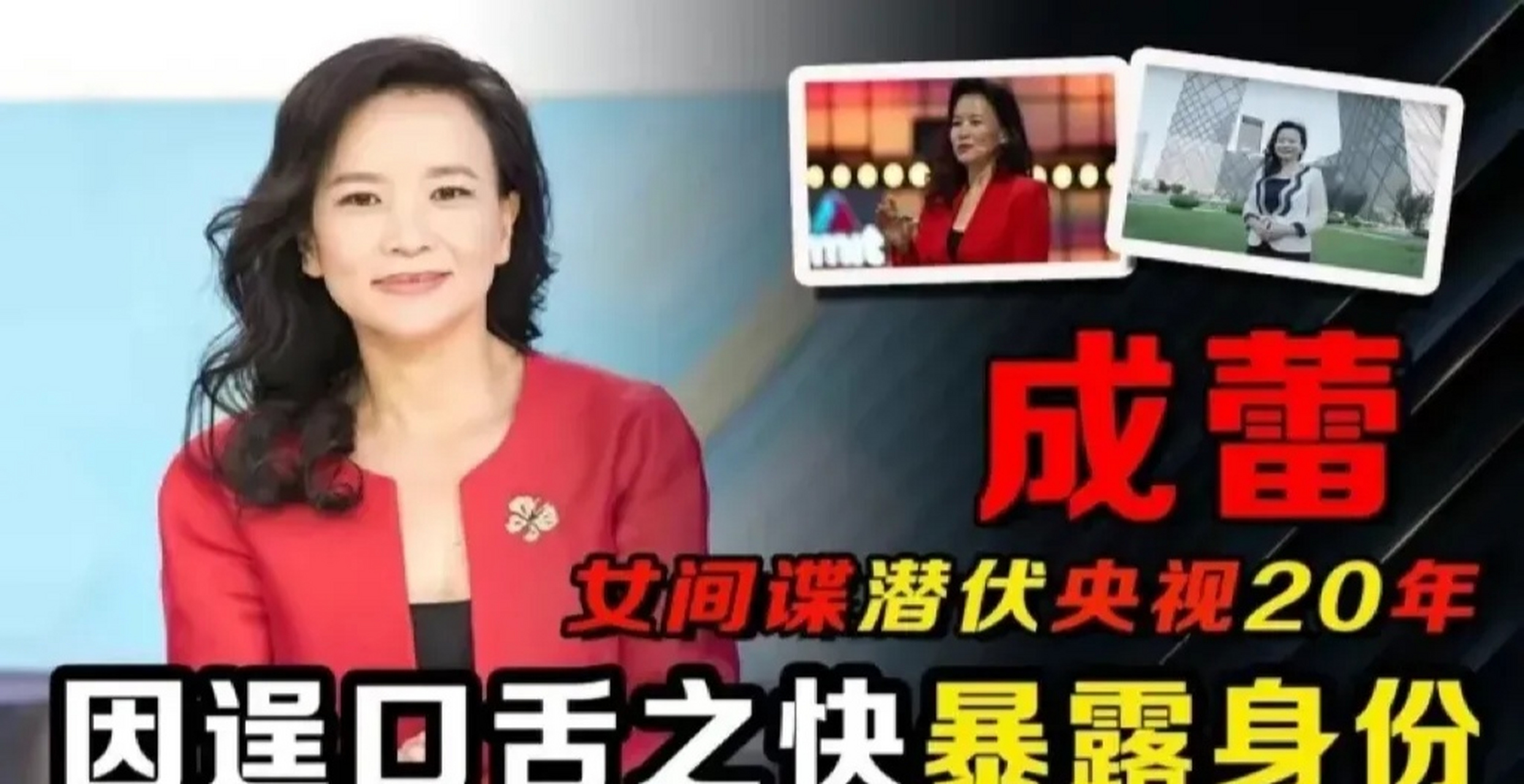 前央视主持人美澳双重间谍成蕾大吐苦水,说她现在有多惨,一年只见到10