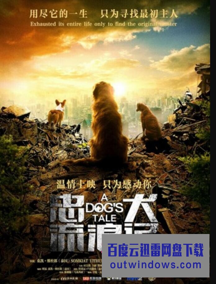 2021剧情《忠犬流浪记》4K.HD国语中字1080p|4k高清