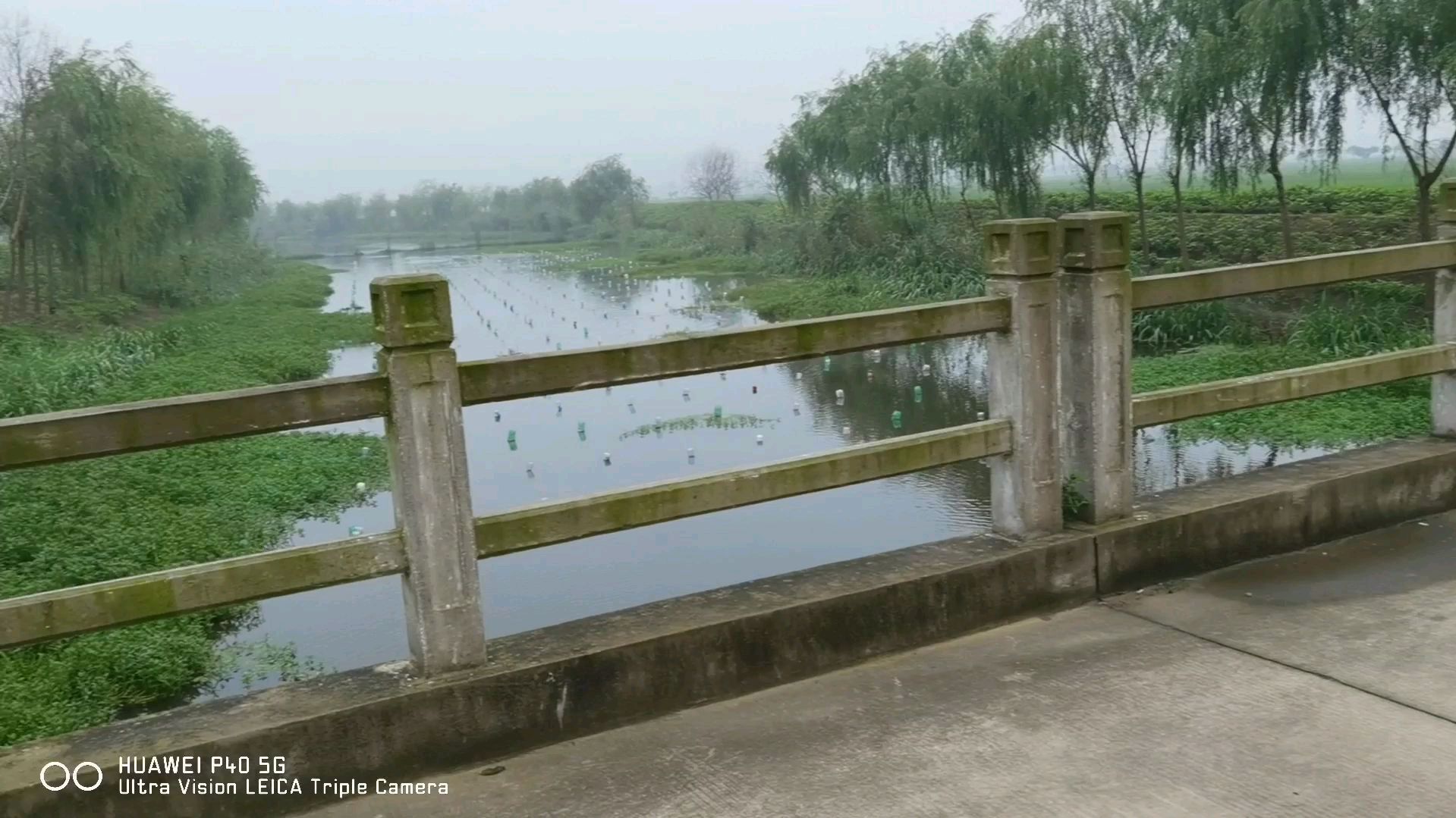 早上天气闷用弹弓镖打鱼