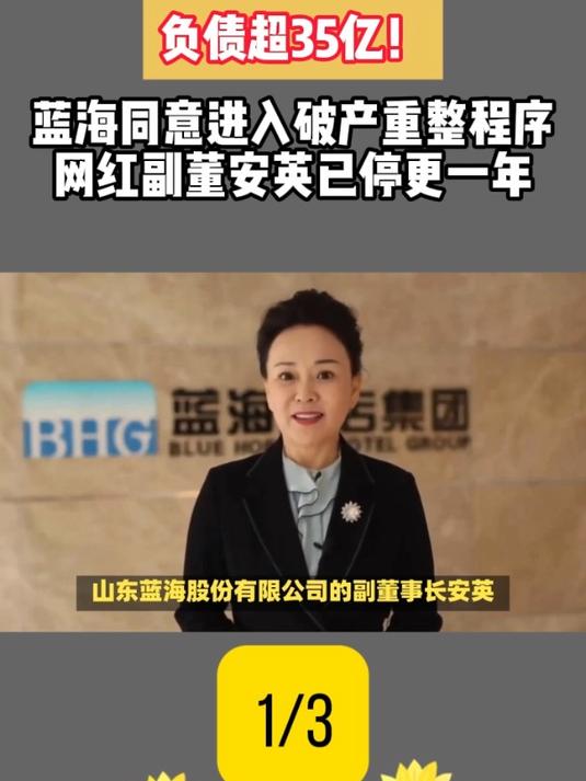 负债超35亿!蓝海同意进入破产重整程序,网红副董安英停更一年1