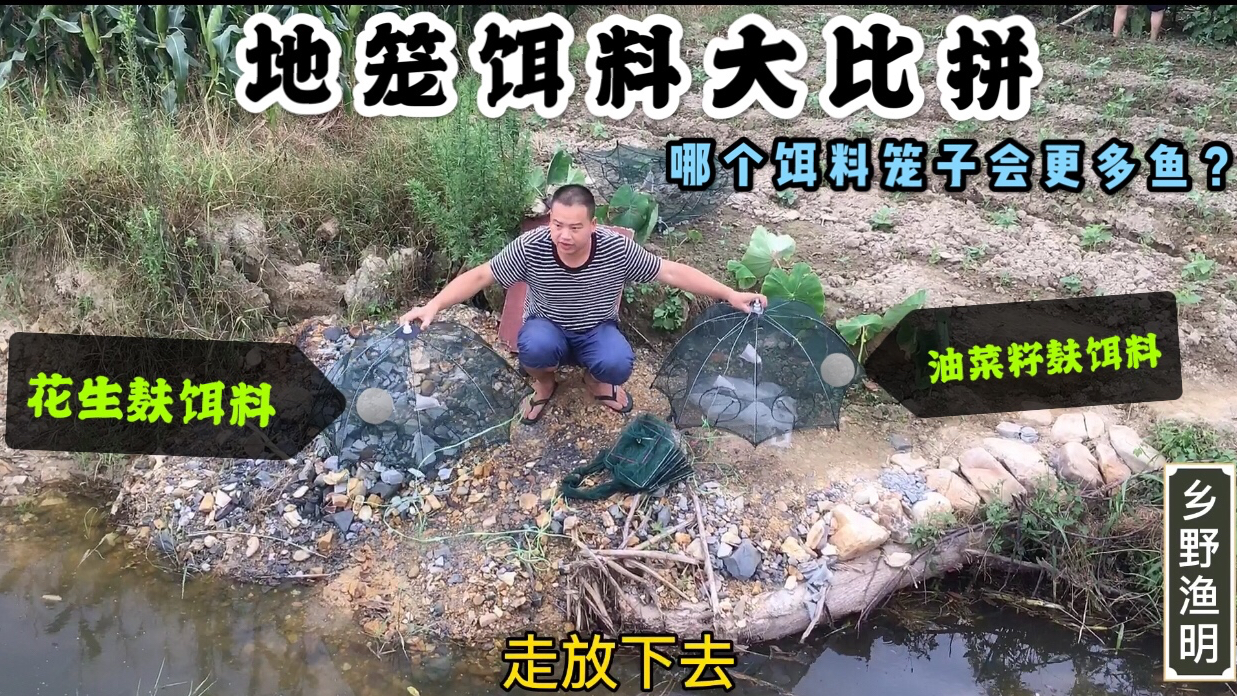 地笼饵料大比拼,看看那个地笼上鱼更多,简直超乎想象
