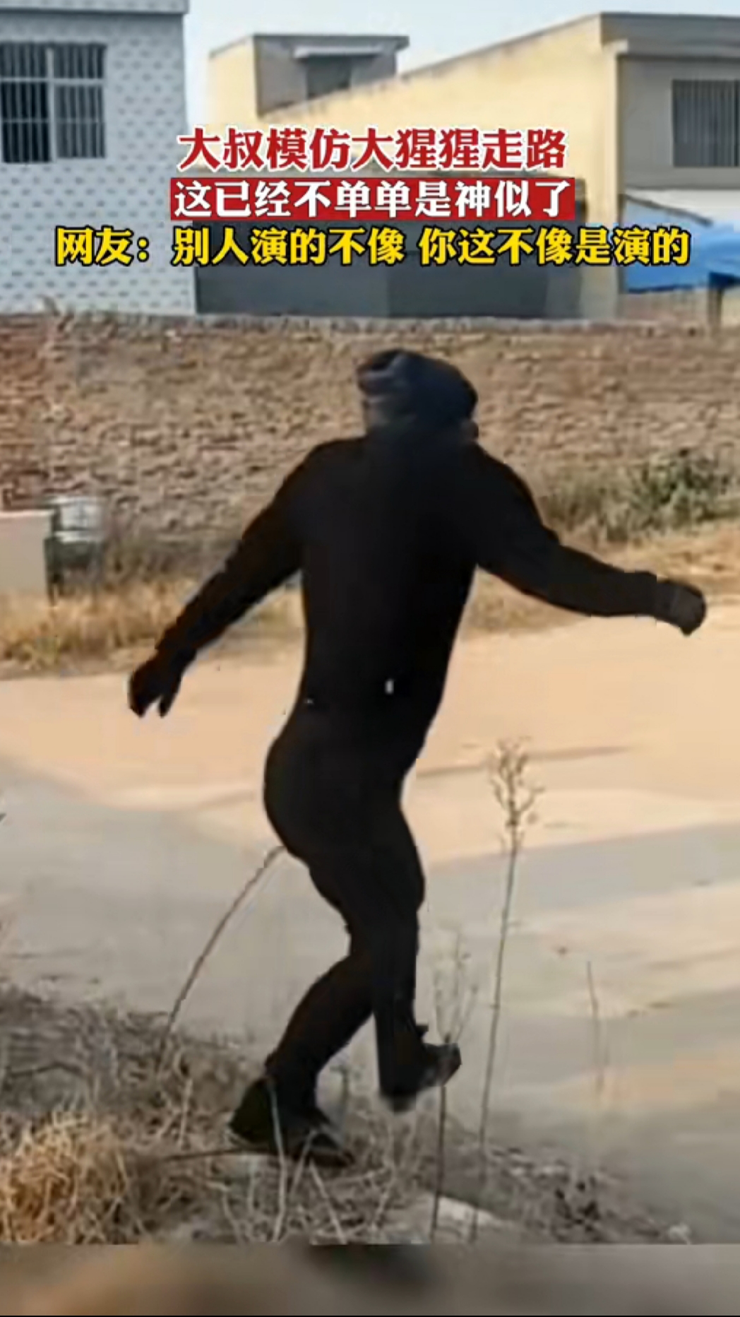 大叔模仿大猩猩走路 这已经不单单是神似了 网友:别人演的不像 你这不