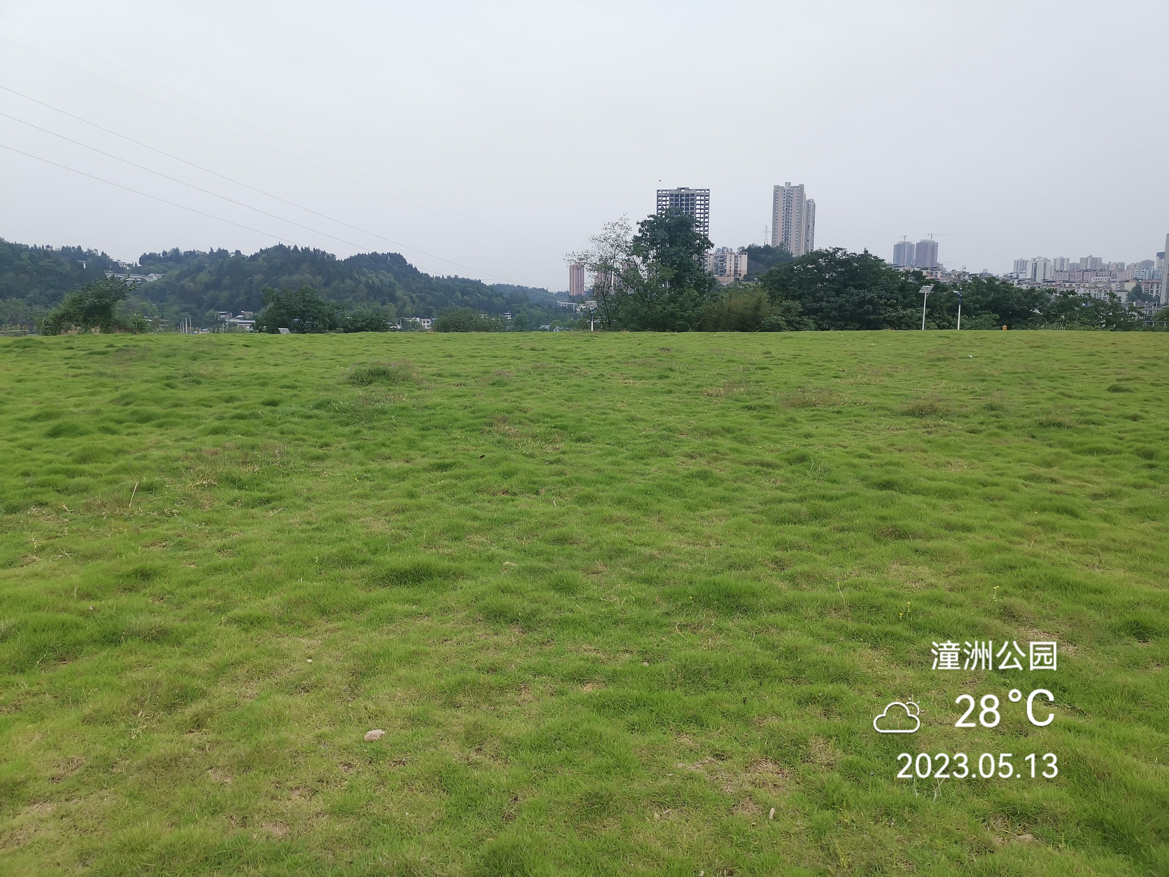 打卡潼洲公園草坪