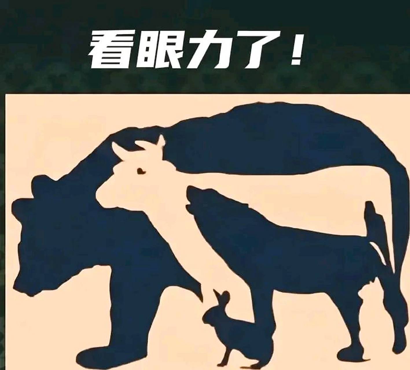 考眼力时刻: 图中藏着几种动物?