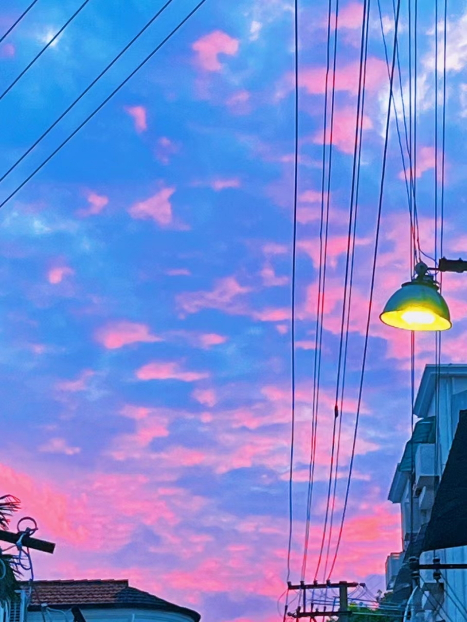 火97烧云真美~这绚丽多彩天空