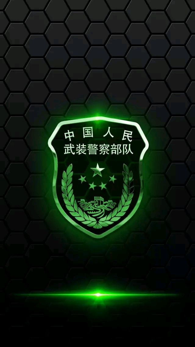 热血壁纸 军迷必备 臂章大全