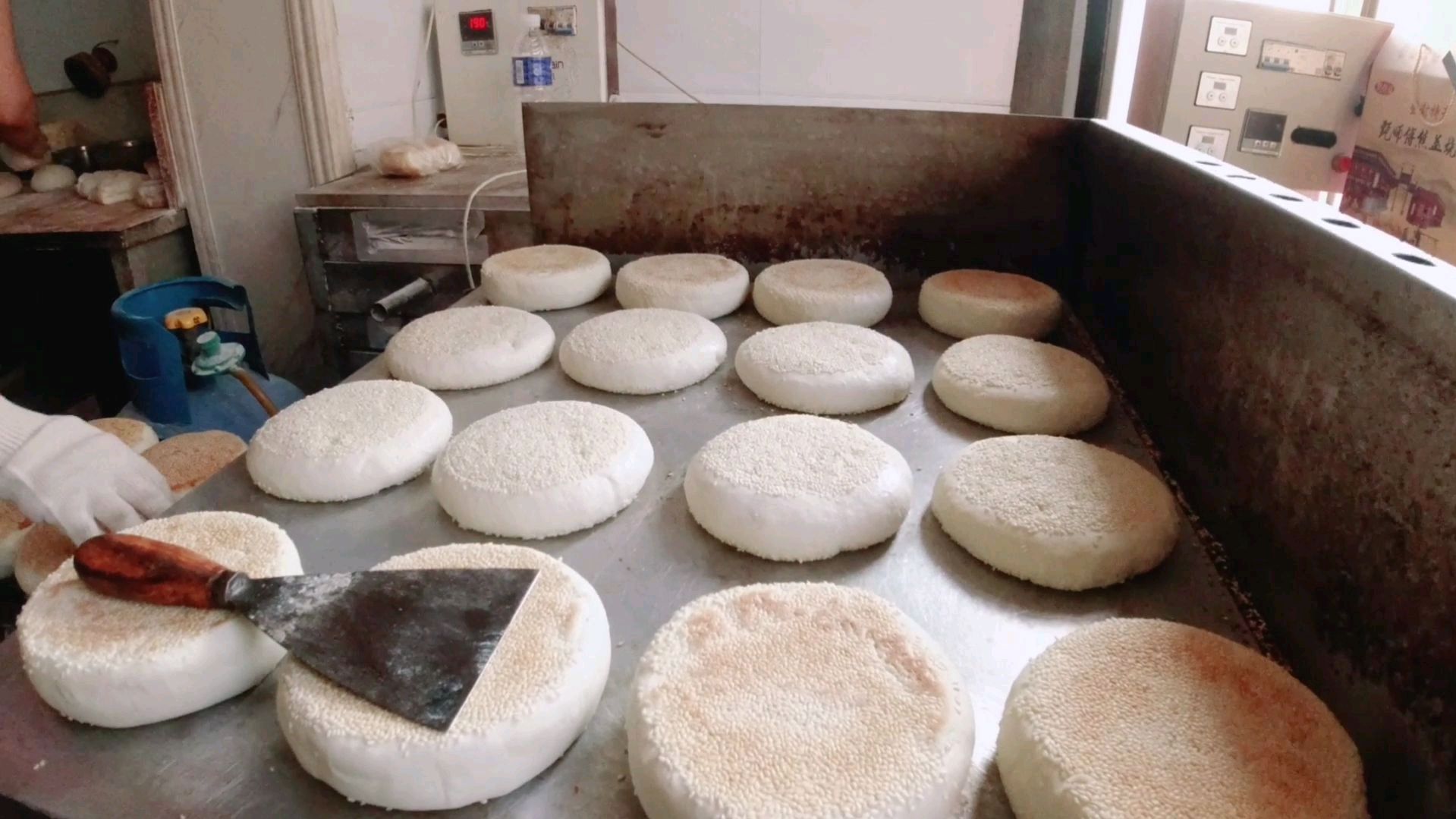 舌尖上的美食,河南登封芝麻盖烧饼,一个半斤重只要两块钱