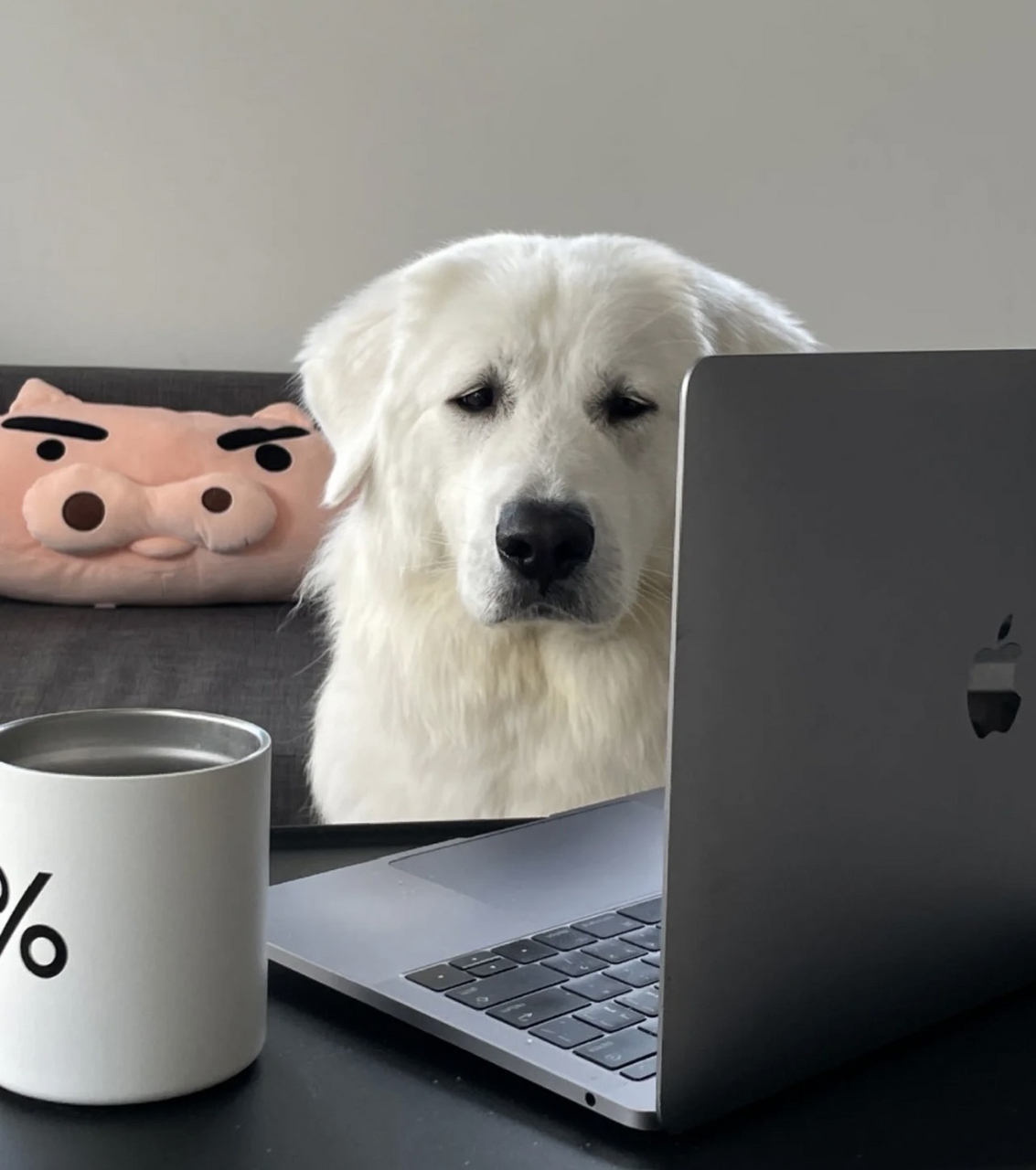 怎么又要上班啊 五一假后上班狗表情包