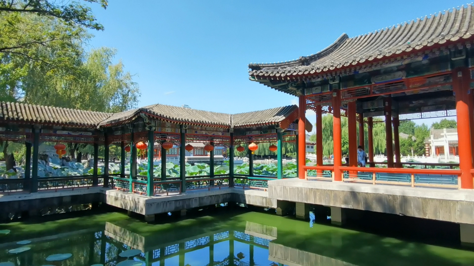 大观园美景之藕香榭