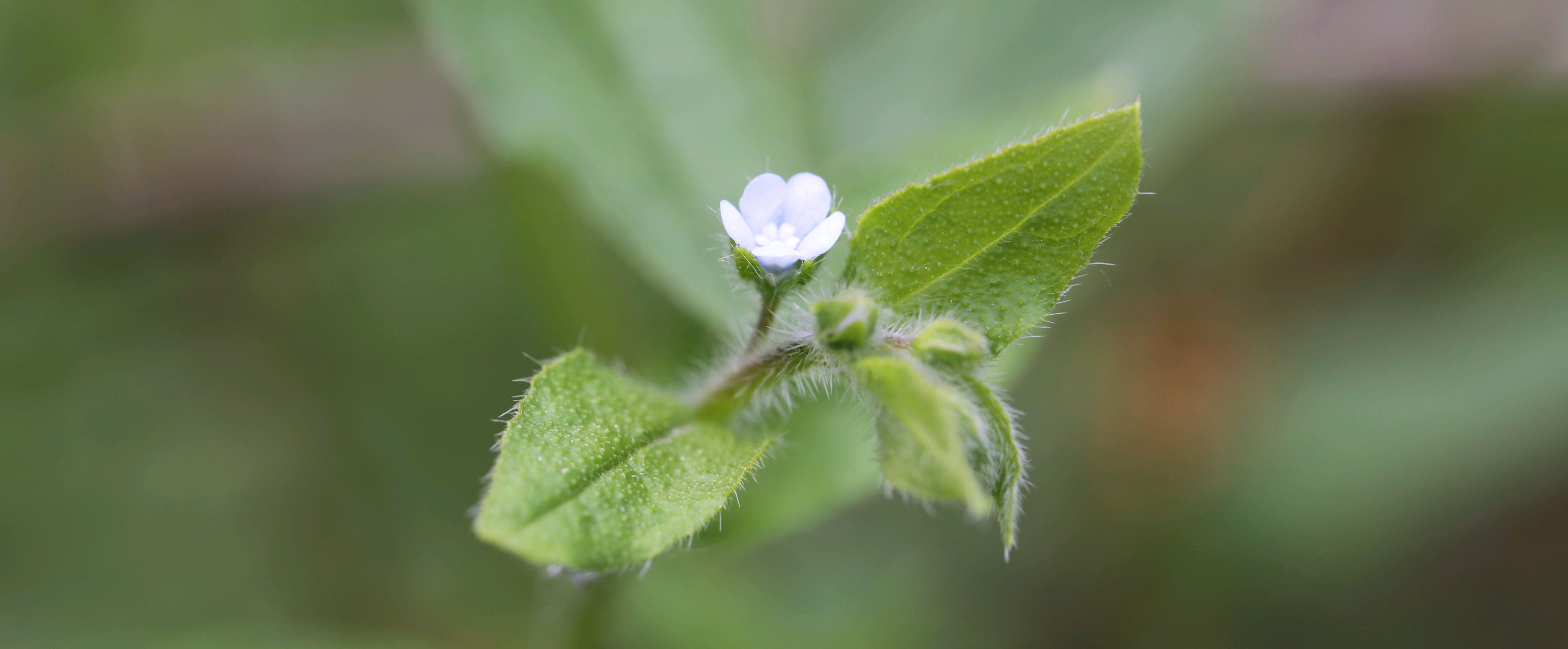 微笑生活每一天