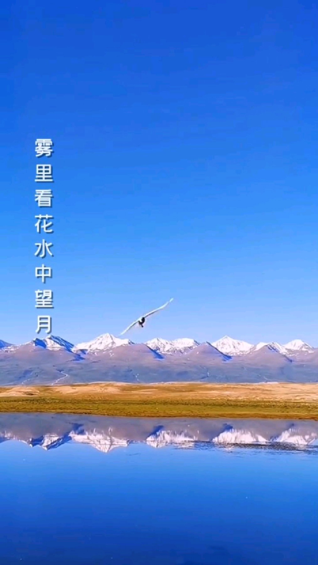 歌曲雾里看花娱乐时刻k歌一曲让动听的音乐疗愈你