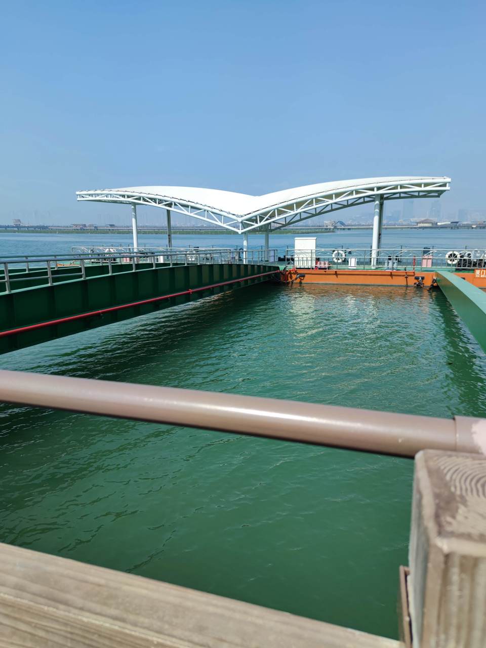 这里是厦门翔安湿地公园,人多景美