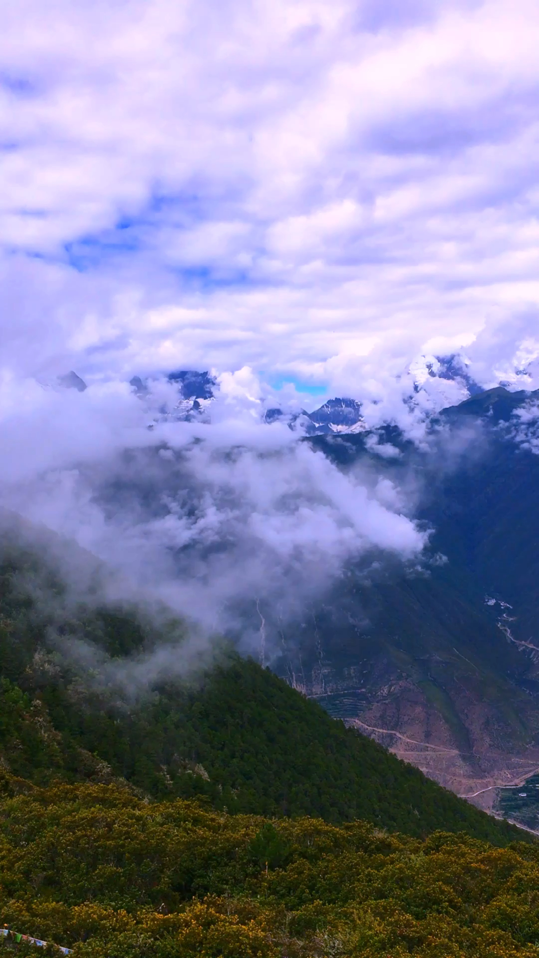 梅里雪山,中国和世界温带地区生物多样性最丰富的地区之一