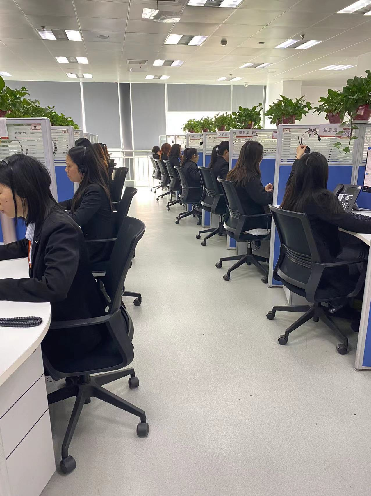 疫情倒春寒 服务添温暖 平安金服内江分公司满意服务不中断不打折