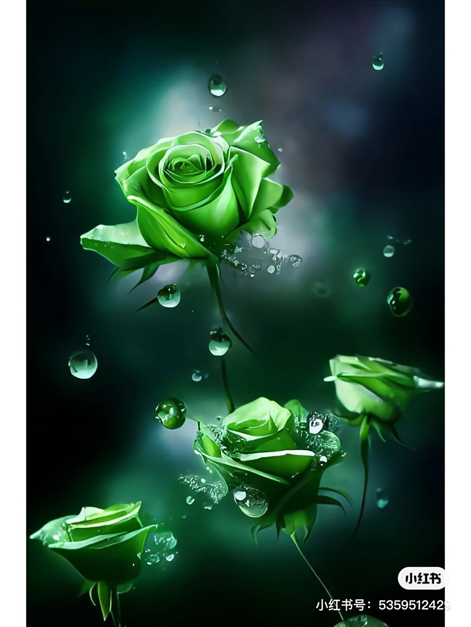 绿玫瑰花语是什么意思(33朵玫瑰花语是什么意思)