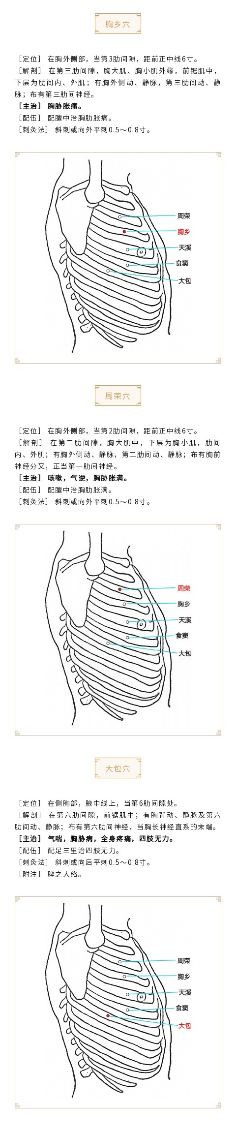 脾经的准确位置图解图片