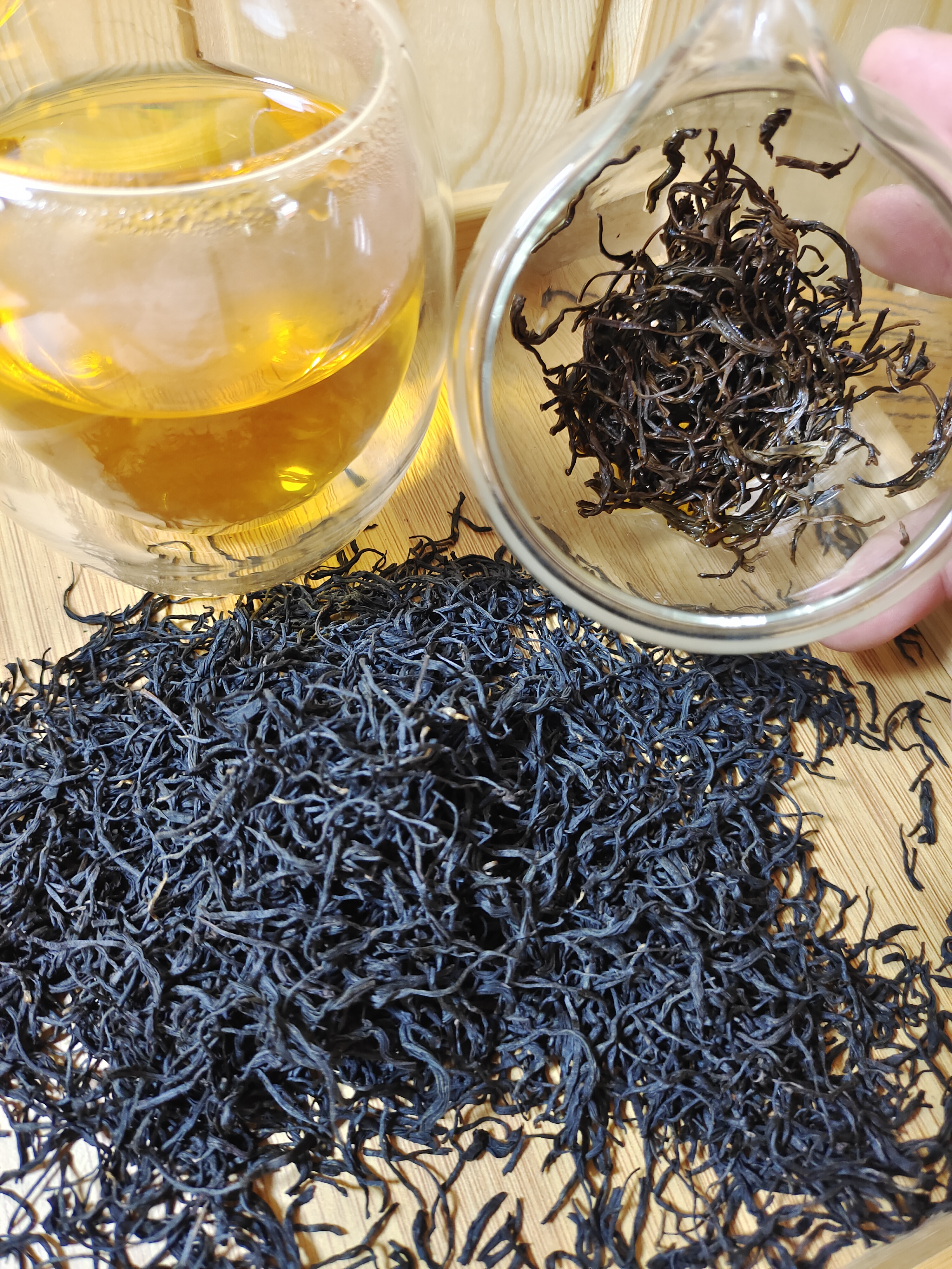 春季的崂山松针红茶