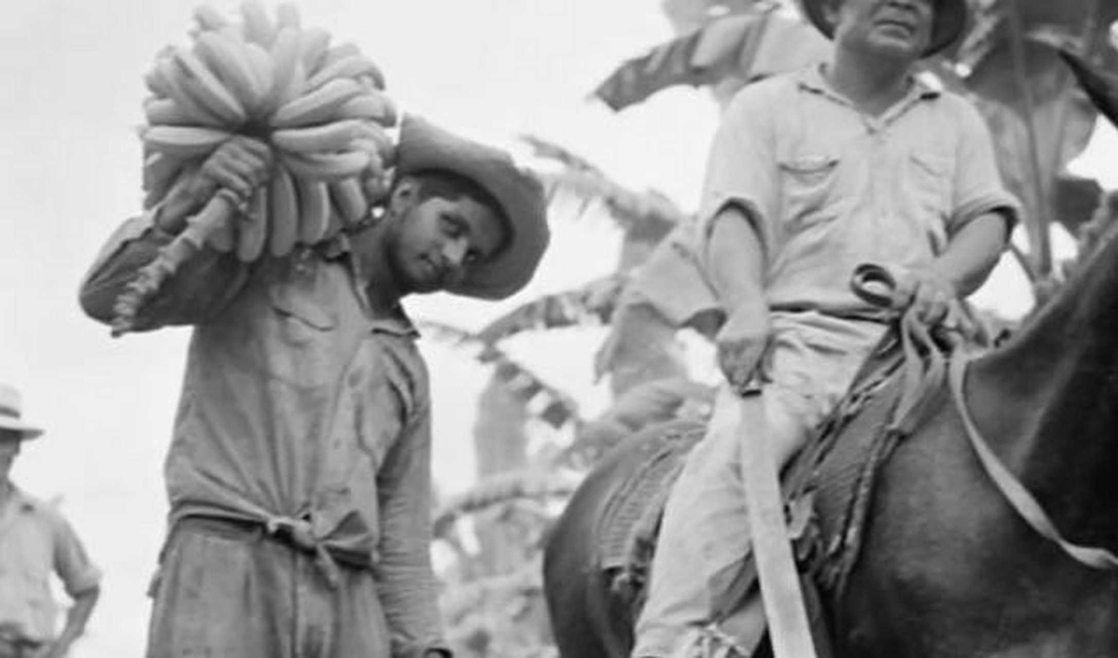 水果公司颠覆小国政权 美国联合果品公司是怎么一步步把这个小国变成