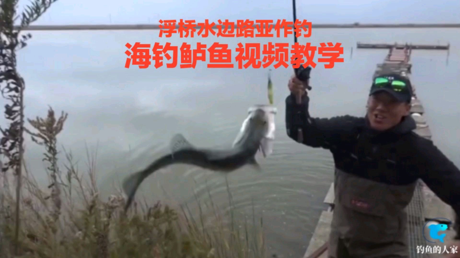 海钓鲈鱼视频教学:浮桥水边诱钓海鲈,路亚作钓直接把鱼飞上岸边