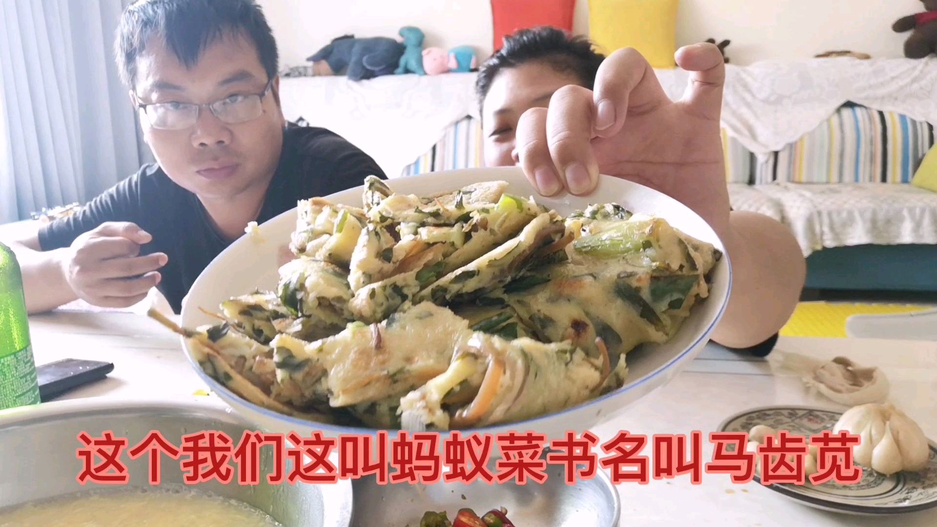 野菜蚂蚁菜(学名马齿苋),看见就走不动路,摘些回家做馍馍吃