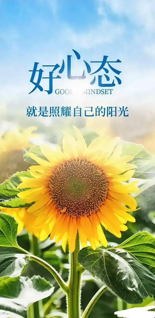 为什么说女性结婚的意愿越来越低?