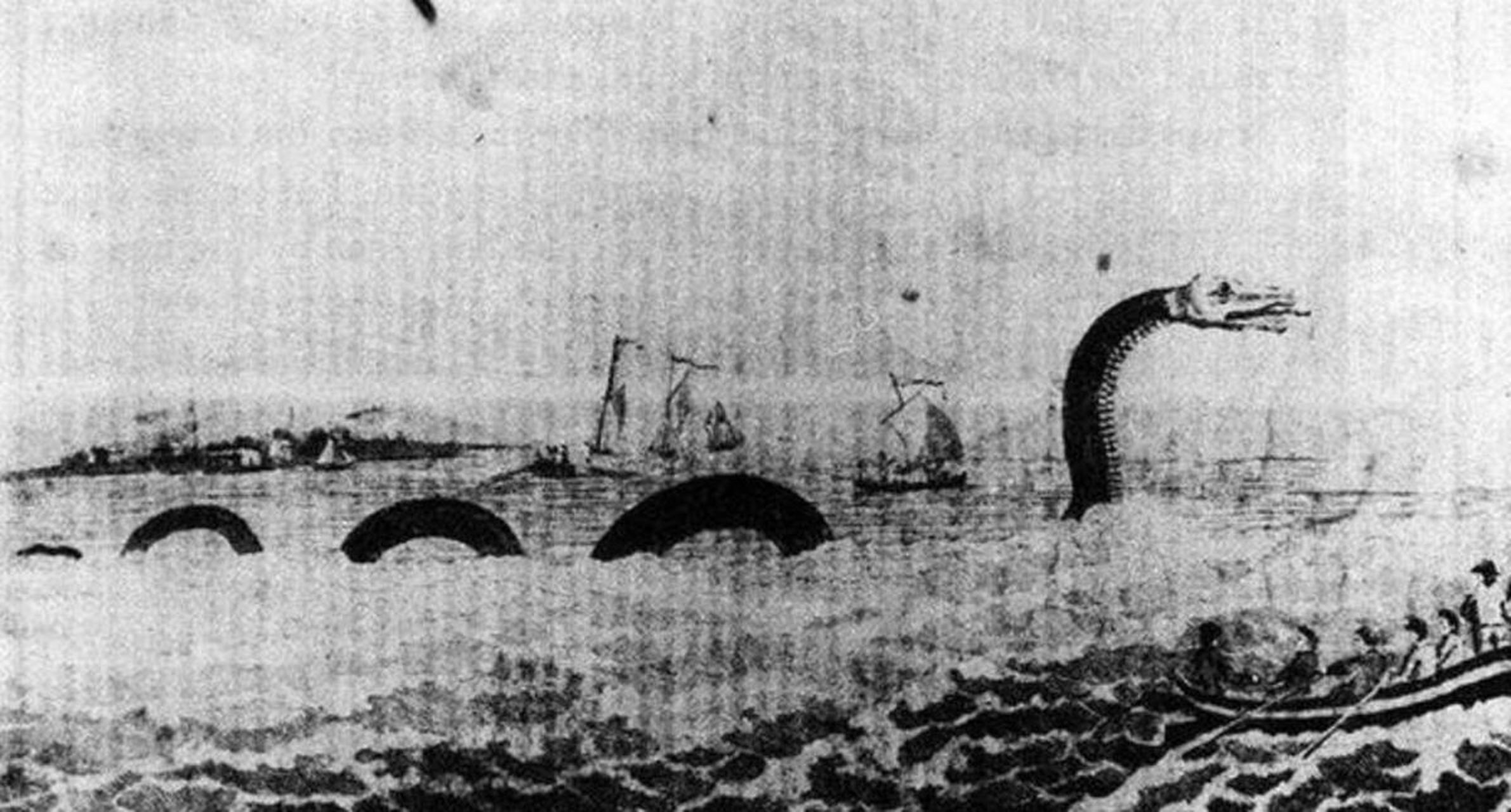 1851年,美国一艘名叫"莫侬伽海拉"号的捕鲸船,在南太平洋南太平洋马克