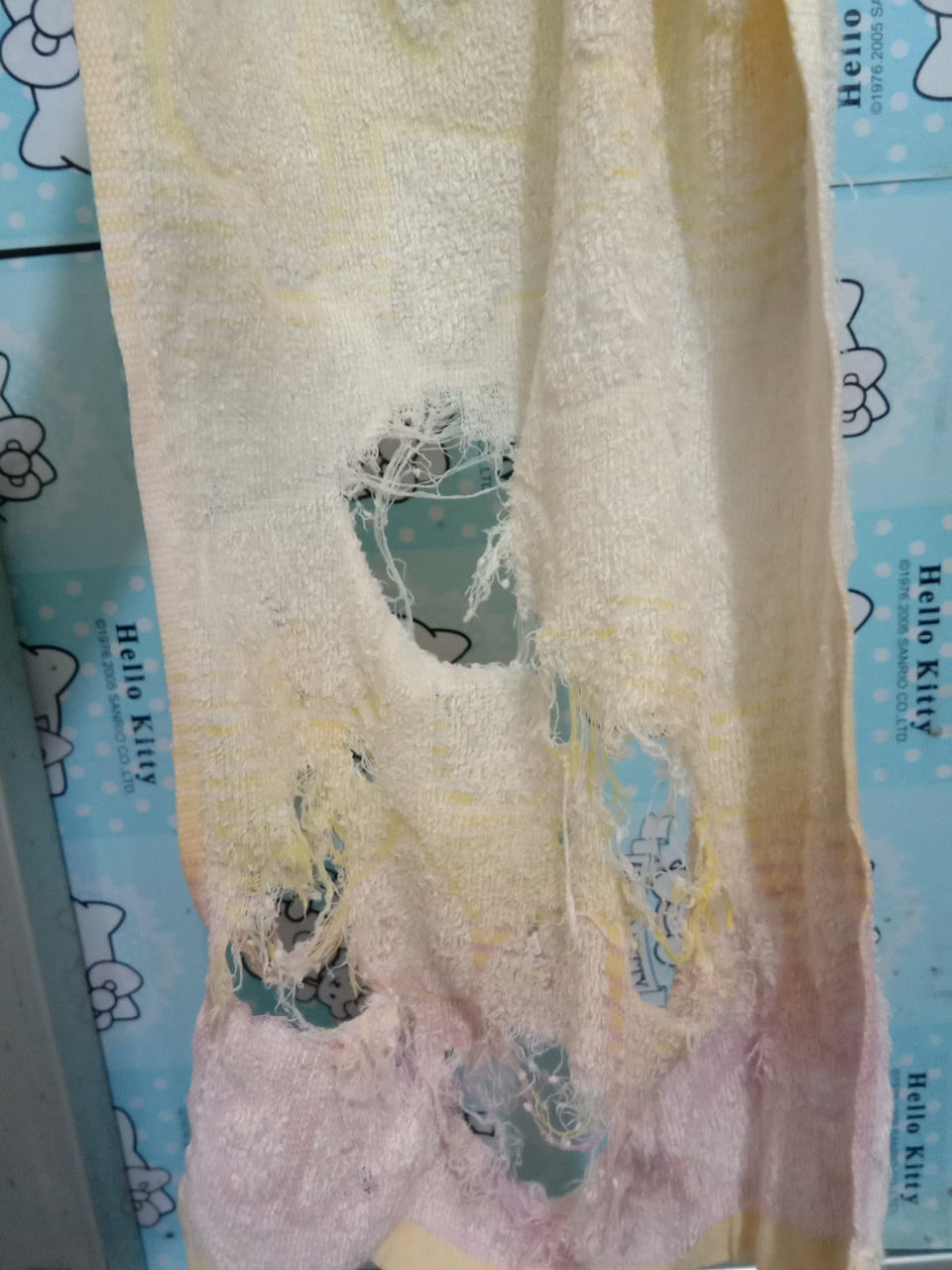 今天,婆婆拿着一条烂了几个大洞的毛巾来洗脸.