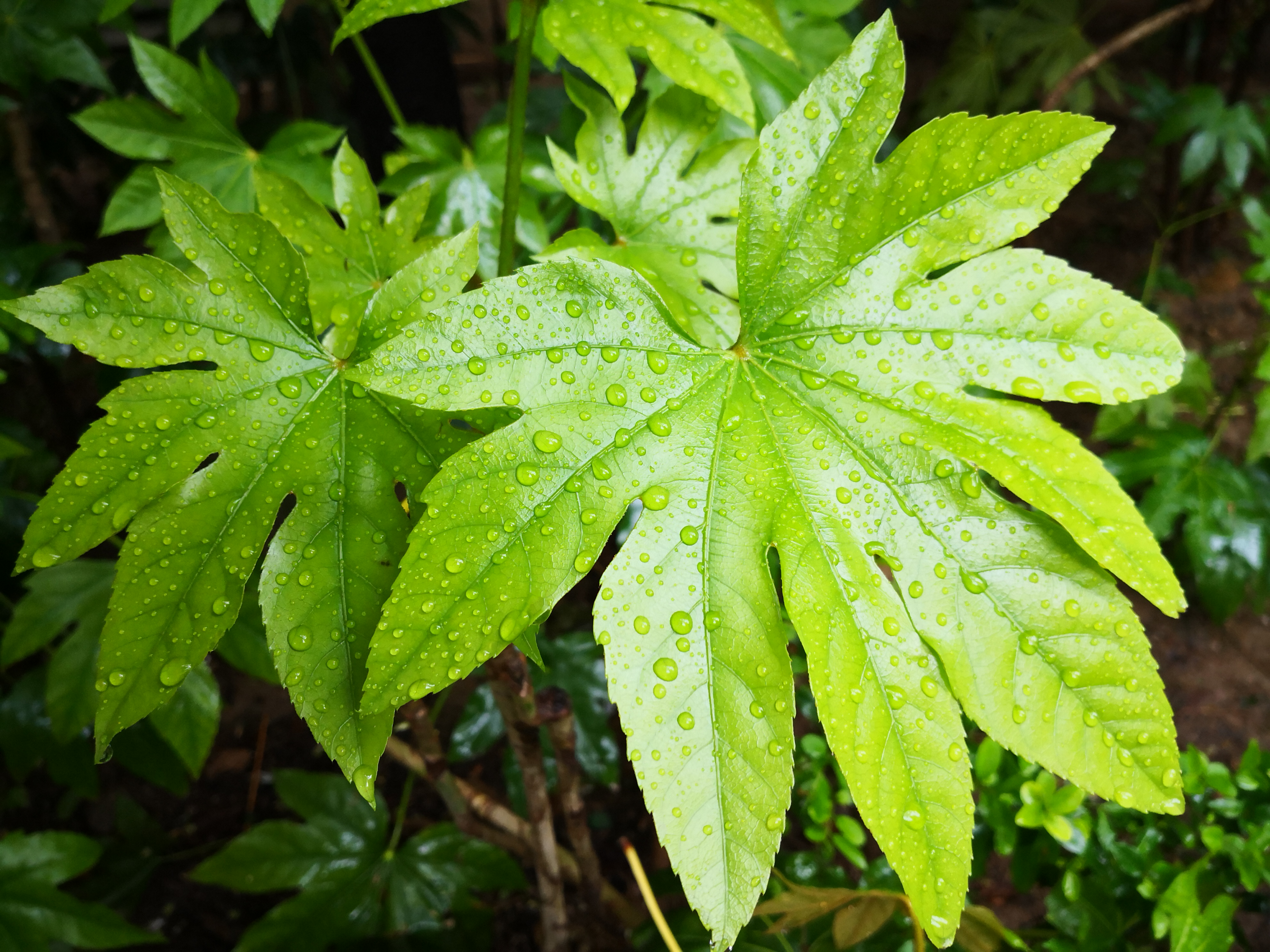 新的阶段,洗尽铅华,破茧成蝶.#笔记创作营