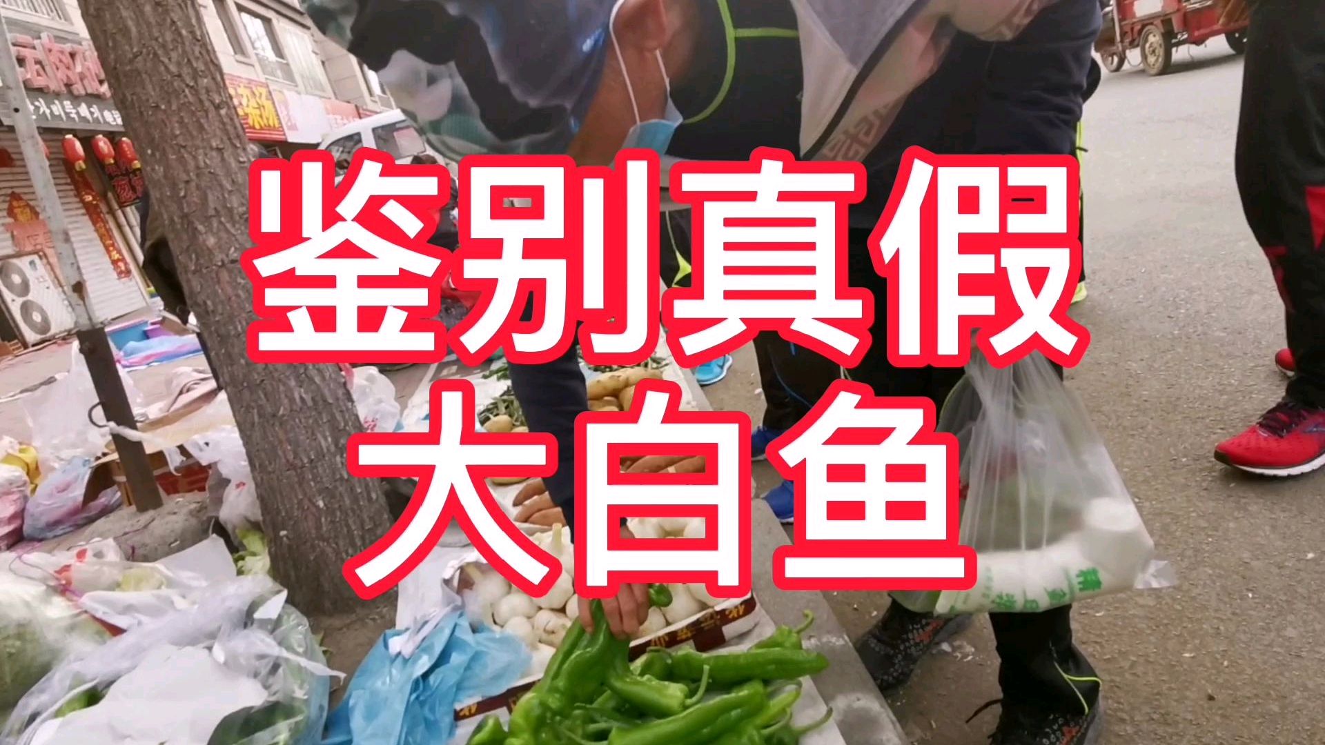 密山 兴凯湖大白鱼几百元一斤,千万别买到假货,如何辨别真伪