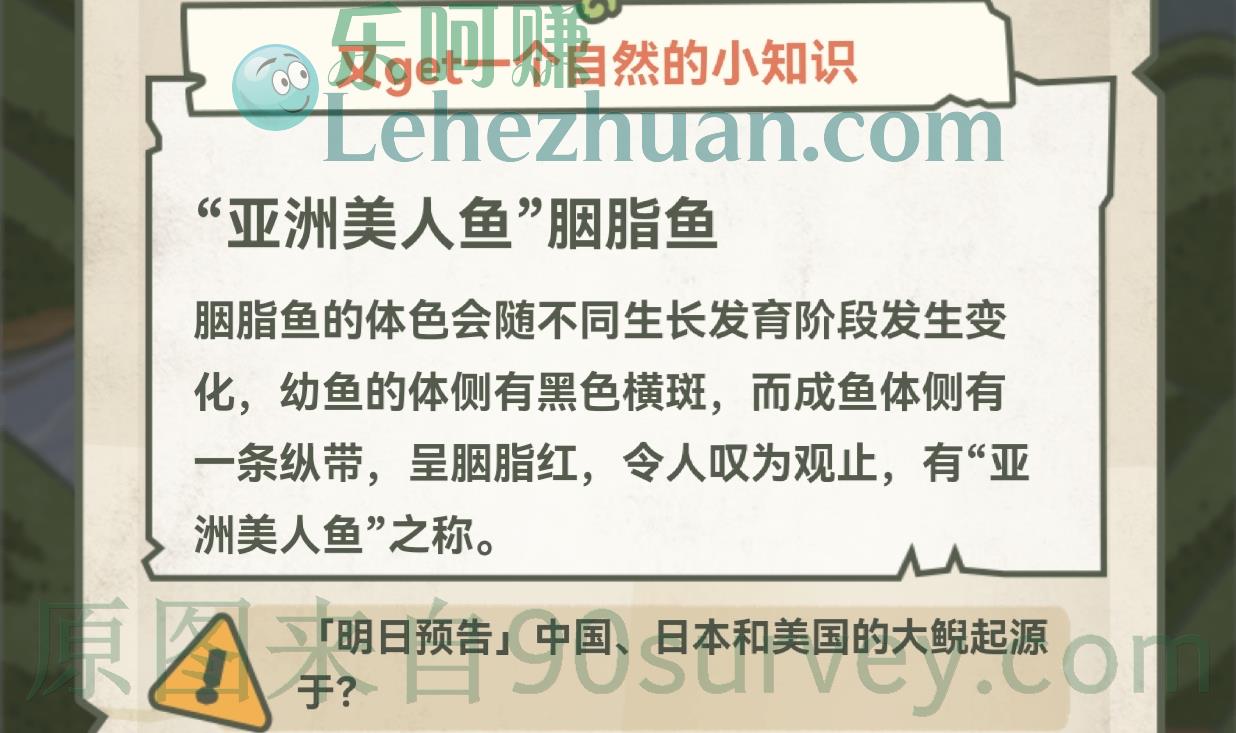 象征一帆风顺的胭脂鱼,下面谁体侧有胭脂红? 象征一帆风顺的胭脂鱼,下面谁体侧有胭脂红?