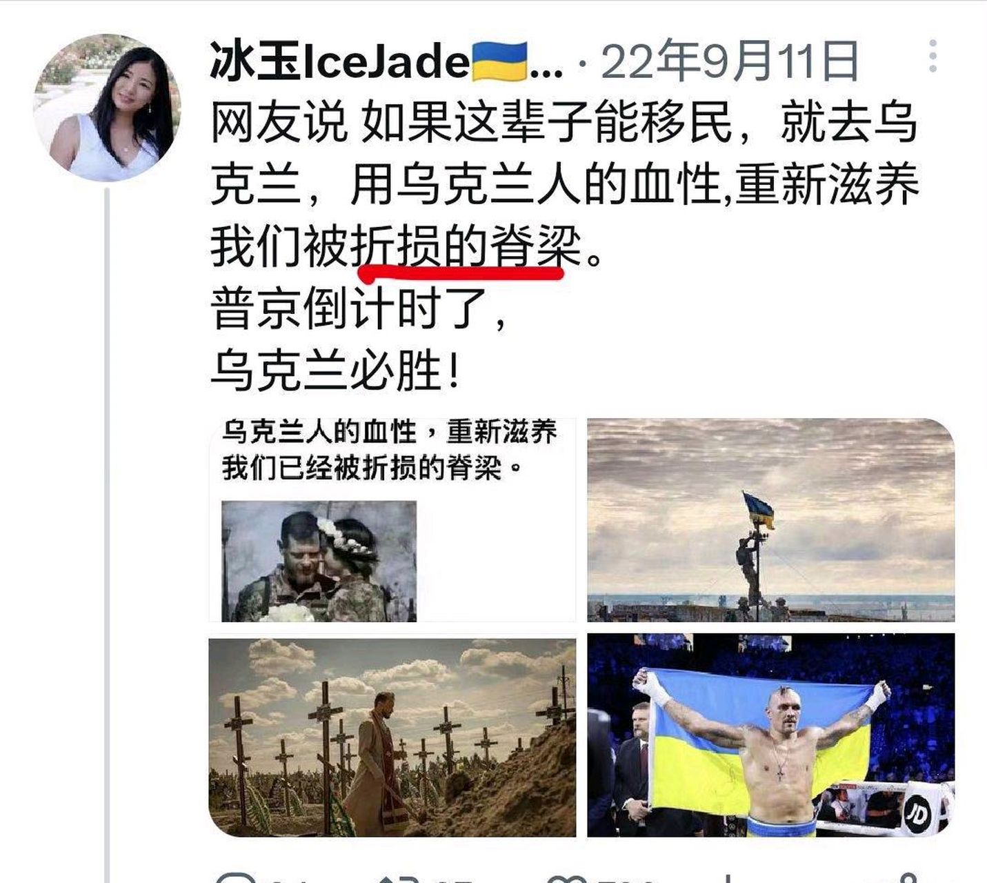 针对国际局势,网友分为亲美派,亲俄派,中立派还有最近不能忽视的挺乌