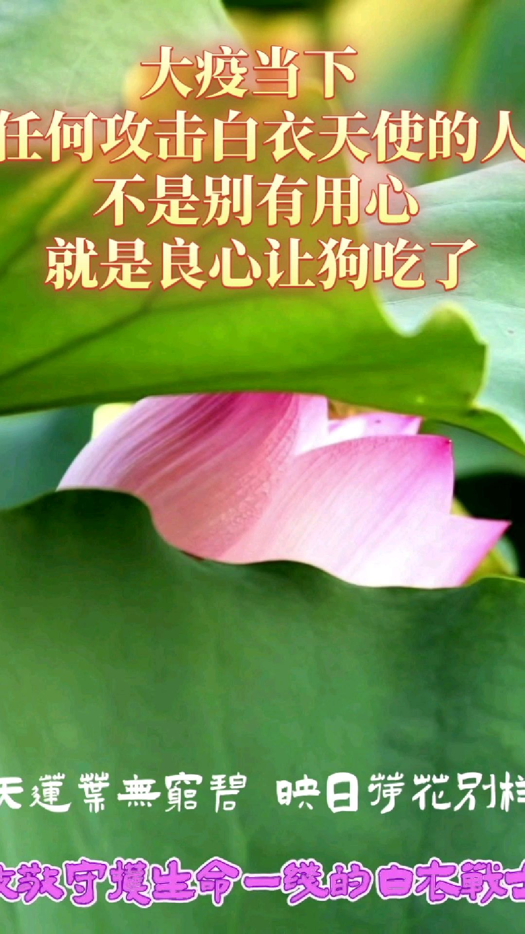 大疫当下 任何攻击白衣天使的人 不是别有用心 就是良心让狗吃了-度小