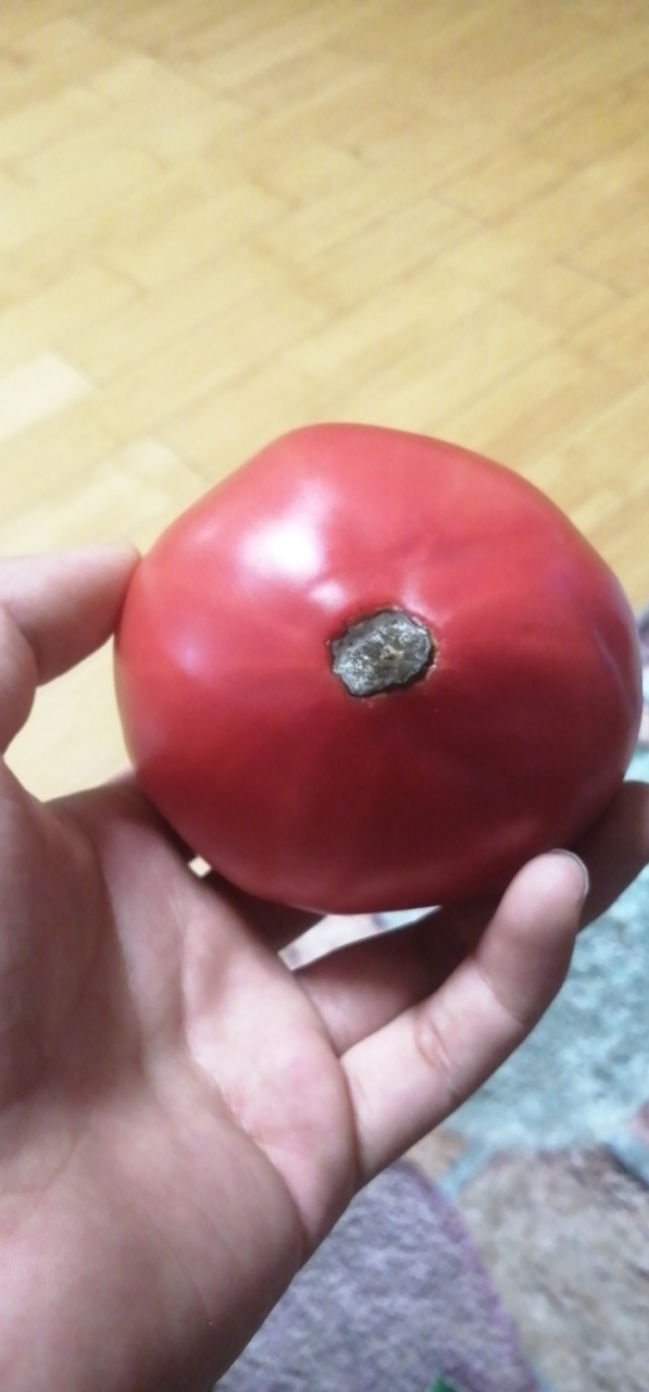 看别人就是图一乐儿,真小丑还得是自己[泪奔]