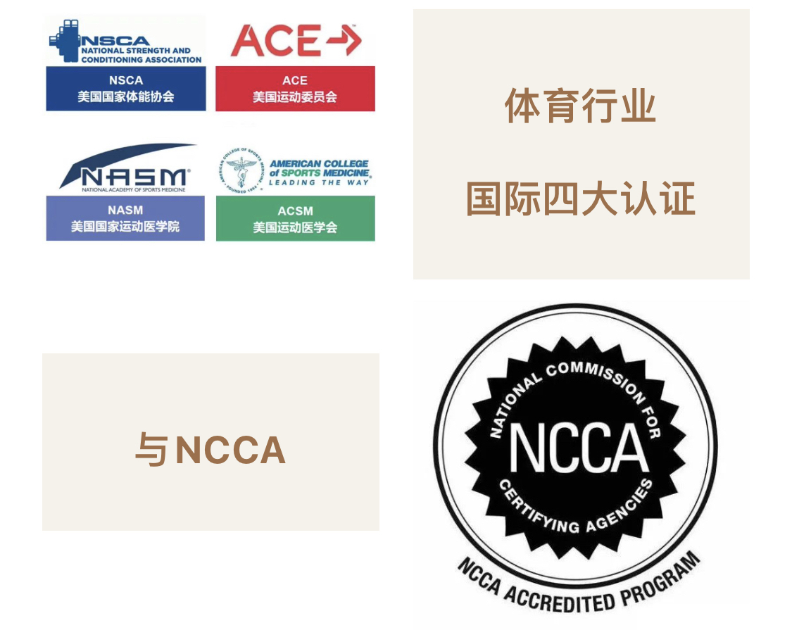 seo大学NCSA认证 baijiahao.baidu.com