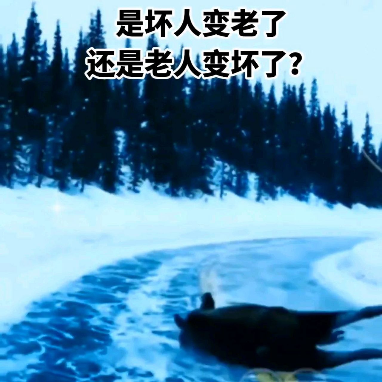 是坏人变老了还是老人变坏了? 有人问我:"遇到老人摔倒了,你扶不扶?