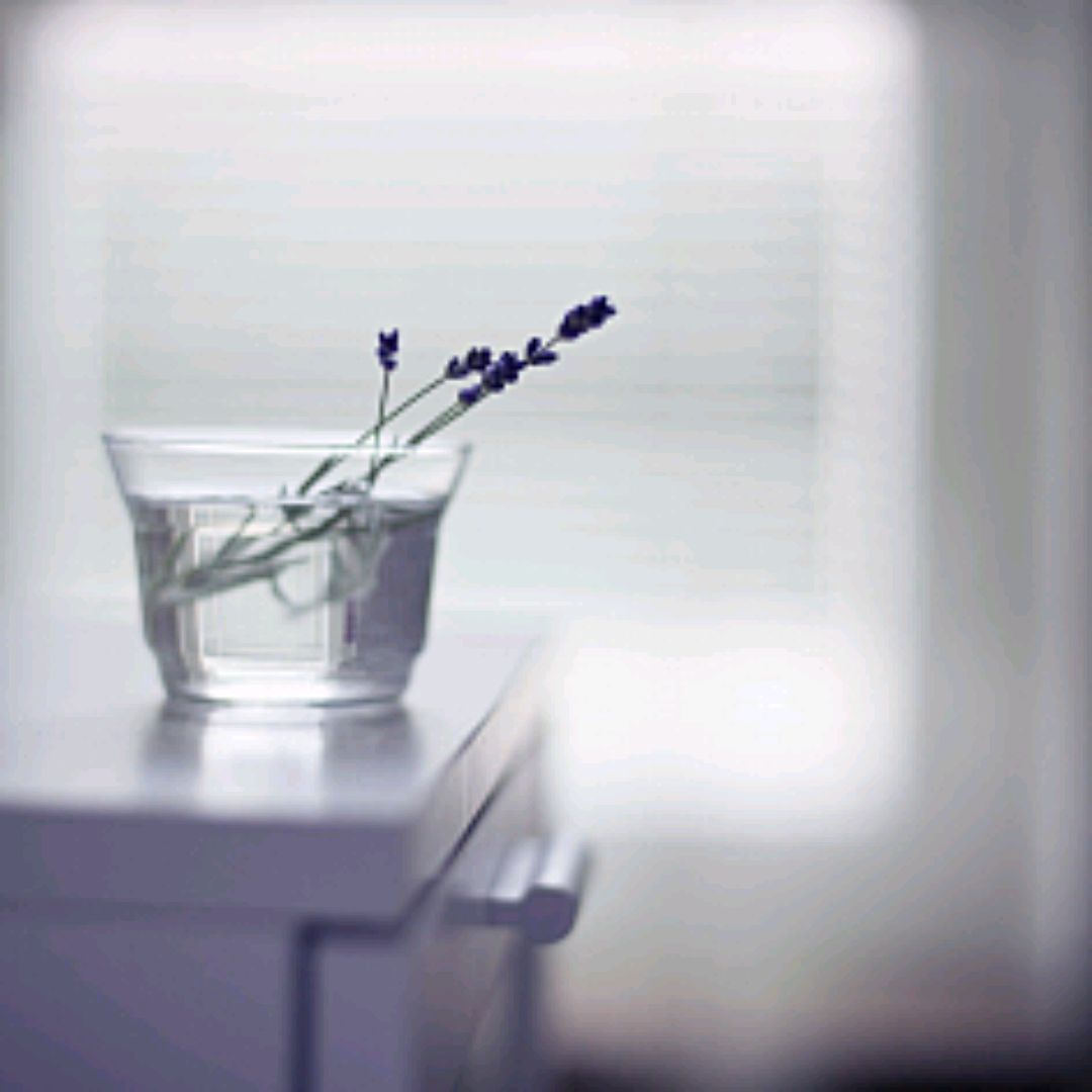 散文:午后的时光