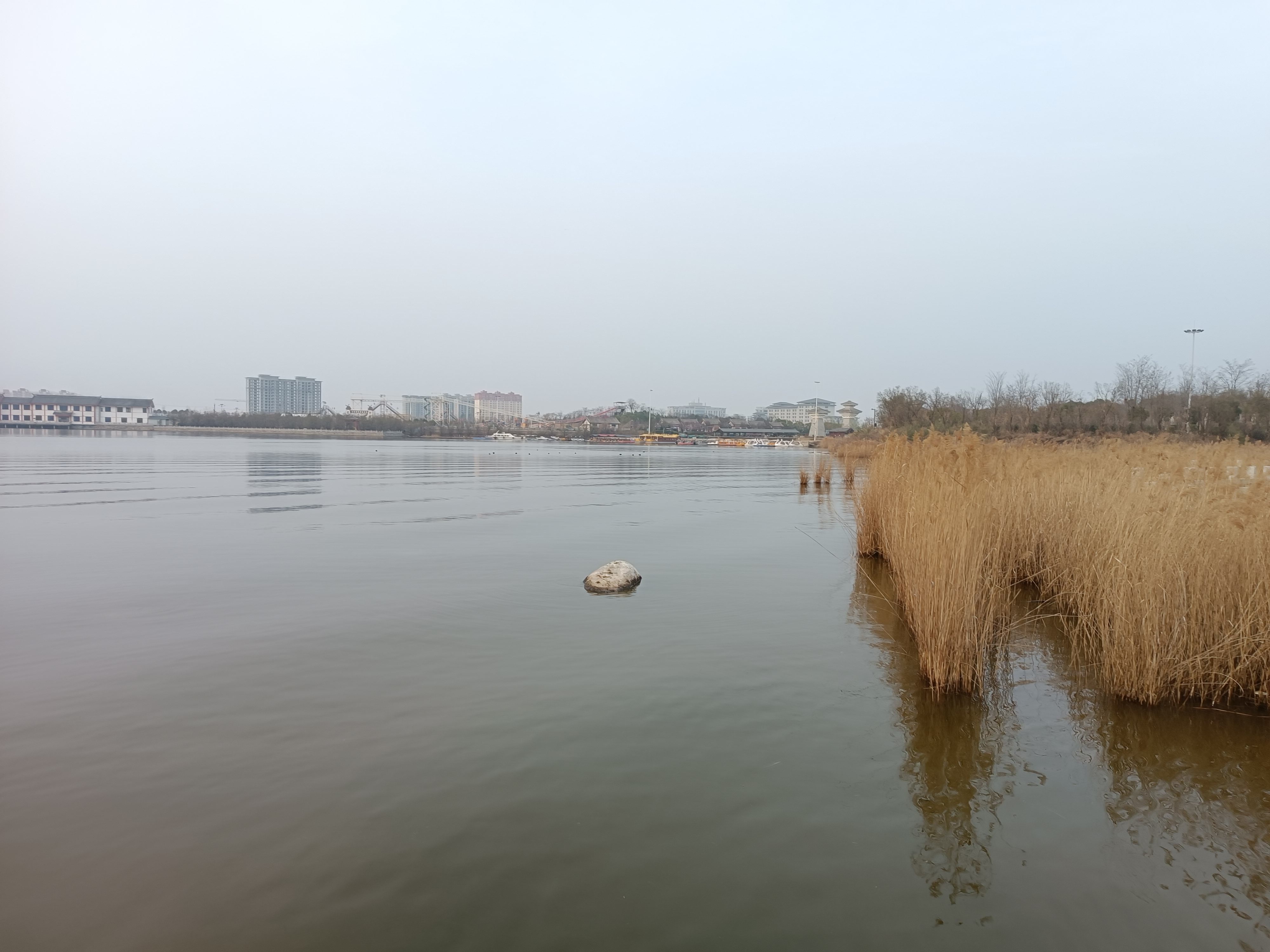 卤阳湖畔春风里图片