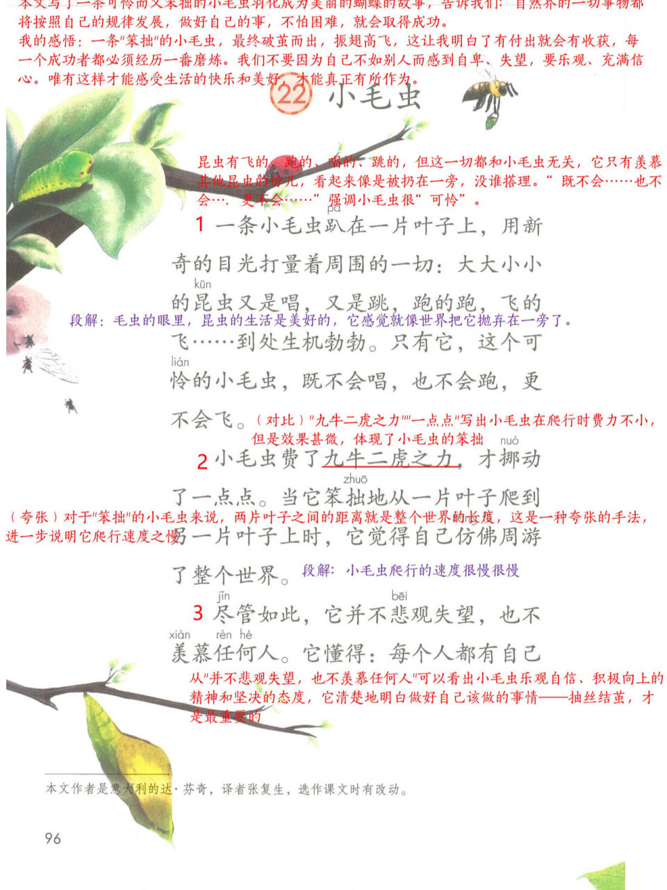 小学二年级语文下册第二十二课《小毛虫》课堂笔记