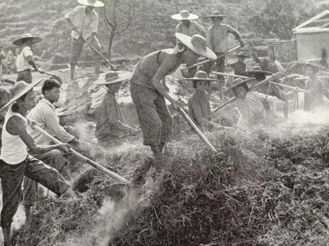 為什麼現在有的幹部,醫生和老師不再受人尊重?