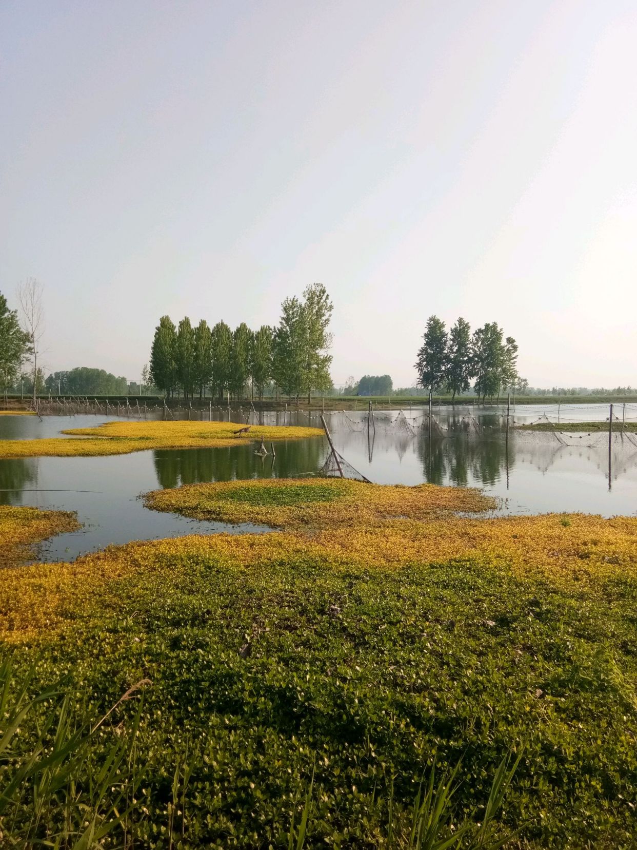 东海县温泉镇甘汪村