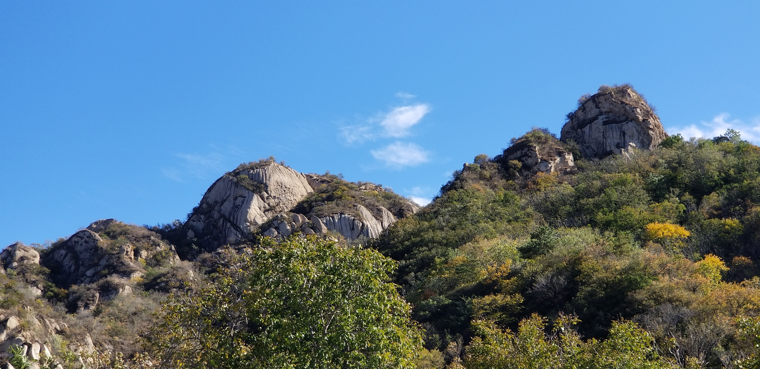 延庆莲花山森林公园图片