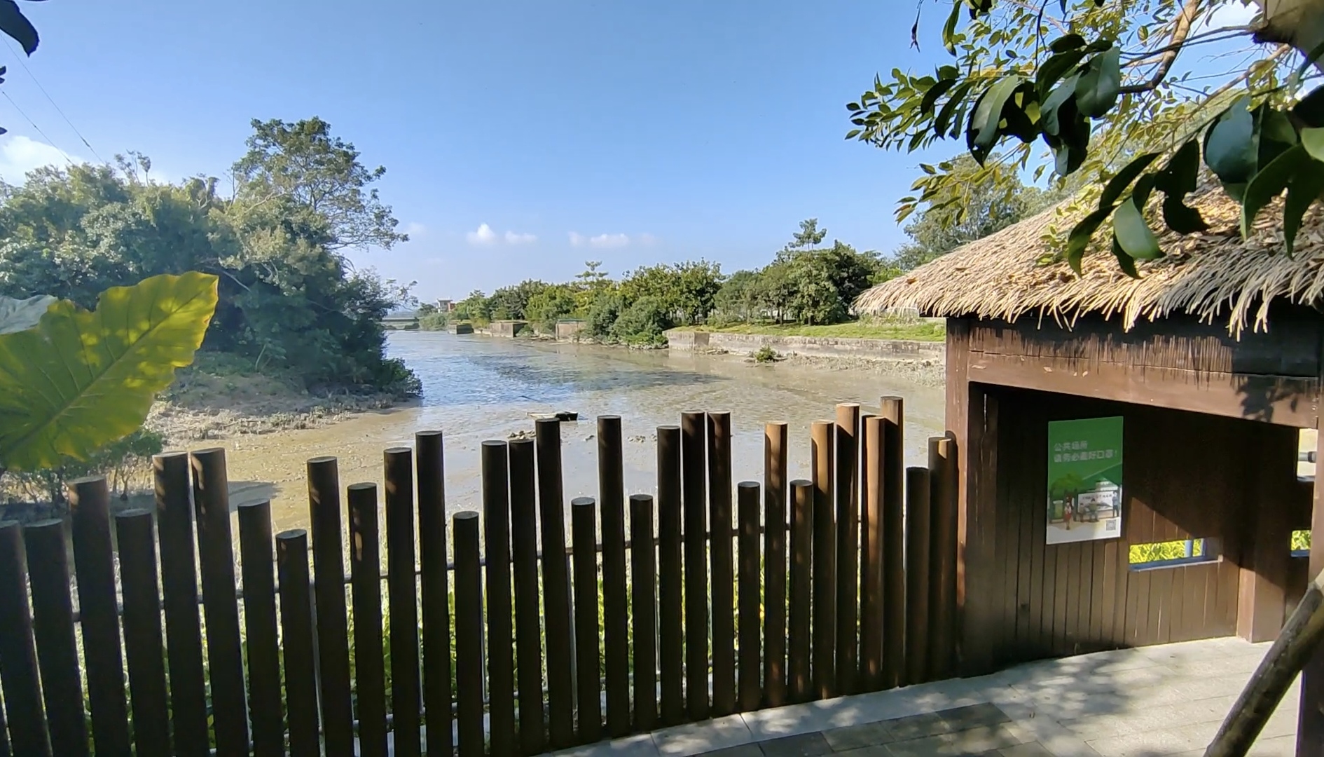 深圳福田红树林生态公园