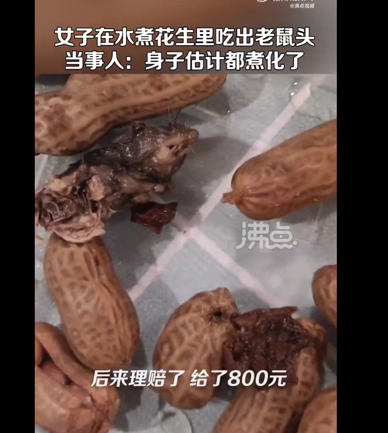 水煮花生吃到第二天發現老鼠頭?女買家感到噁心並賠付800元