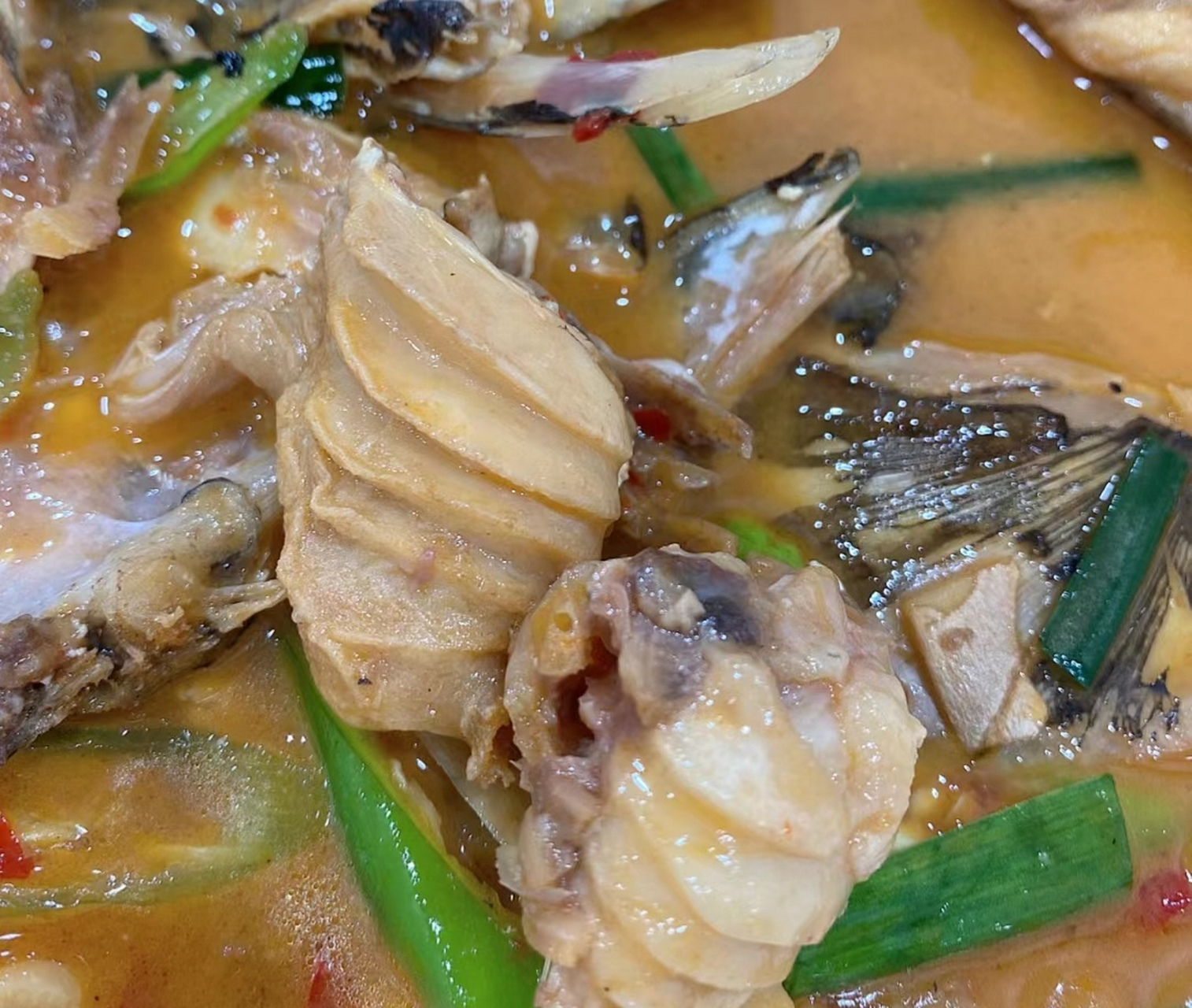 鱼头里这两坨螺旋状的肉肉是什么?