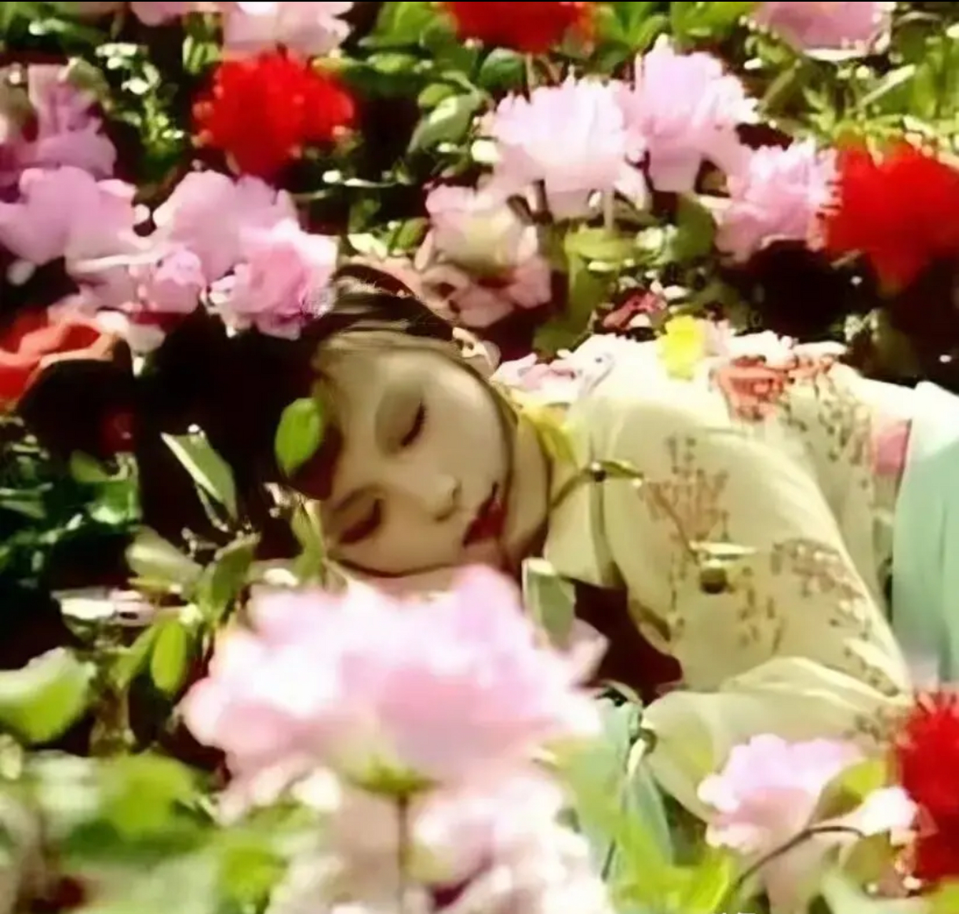 在经典的87版《红楼梦》中,史湘云醉卧芍药圃的场景是在杭州进行拍摄