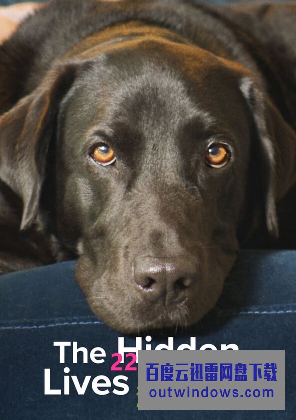 [电视剧][宠物的秘密生活 The Hidden Lives of Pets 第一季][全04集][英语中字]1080p|4k高清