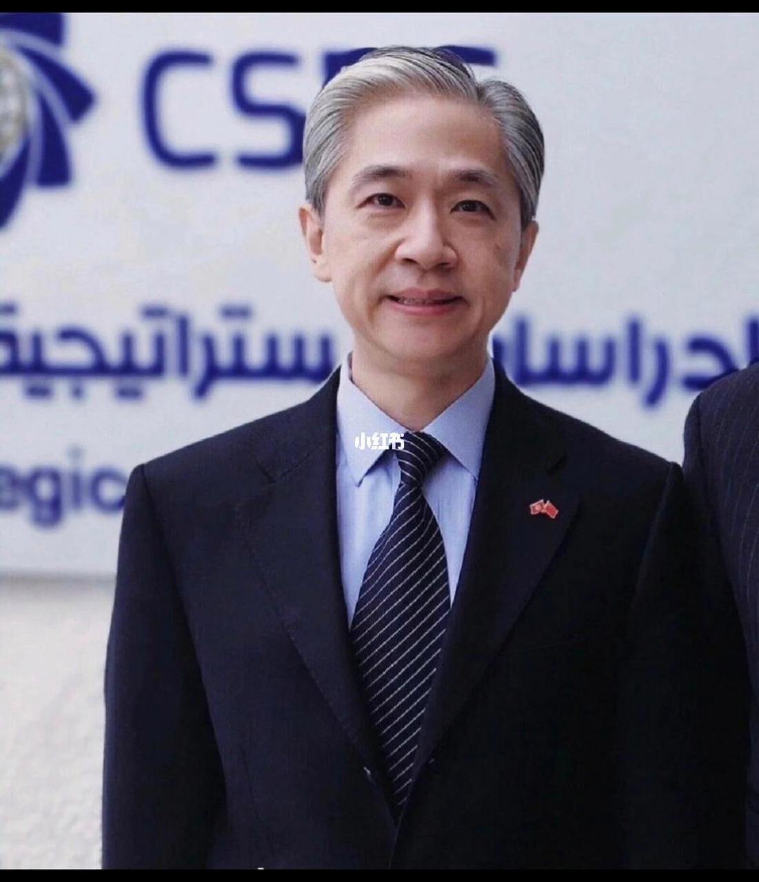 汪司汪文斌精通11国语言,温文儒雅而又不失风度,从青丝到白头,年轻的